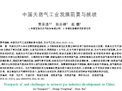 中国天然气工业发展前景与挑战